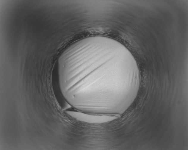 X0000082981297200702230022