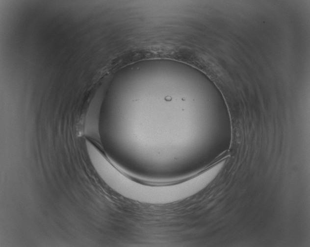 X0000082981298200702230022