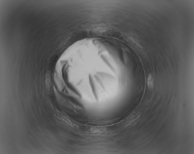 X0000082981299200702230023