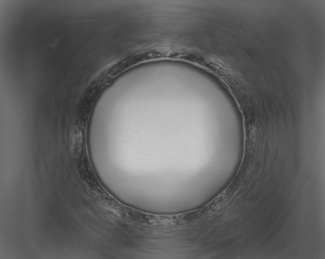 X0000082981302200702230023
