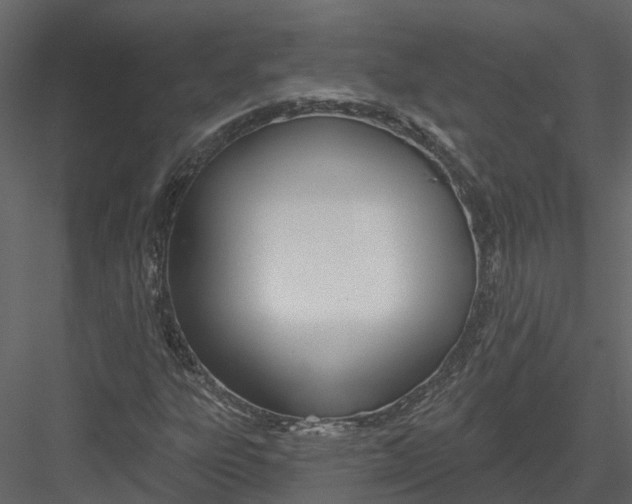 X0000082981303200702230023