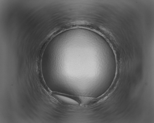 X0000082981305200702230023