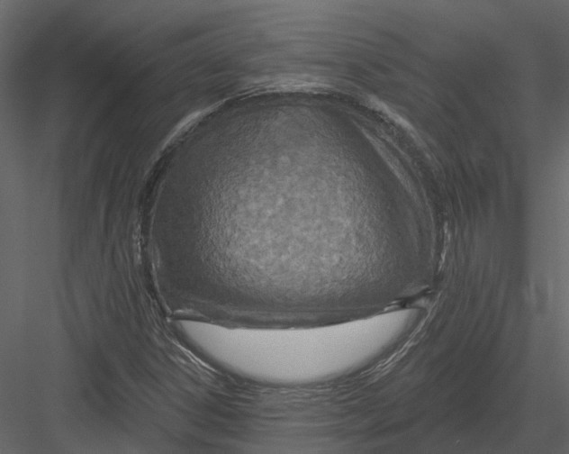 X0000082981306200702230023