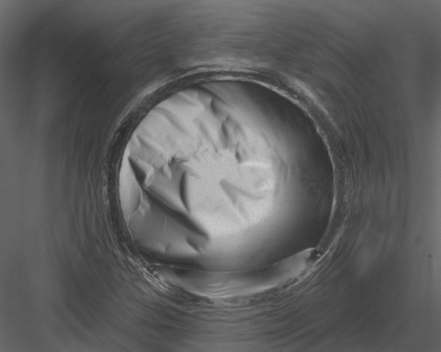 X0000082981307200702230023