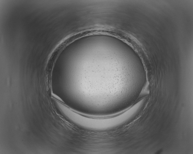 X0000082981310200702230023