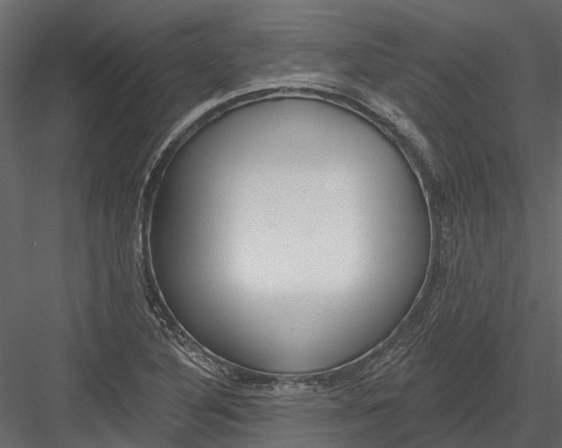 X0000082981316200702230023