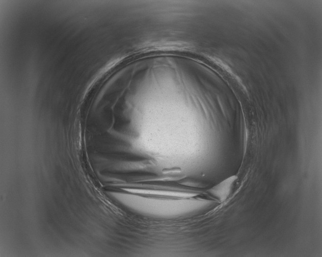 X0000082981317200702230023