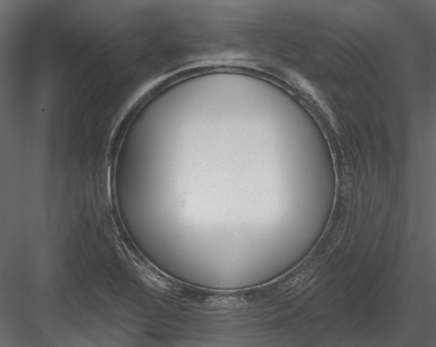 X0000082981320200702230023
