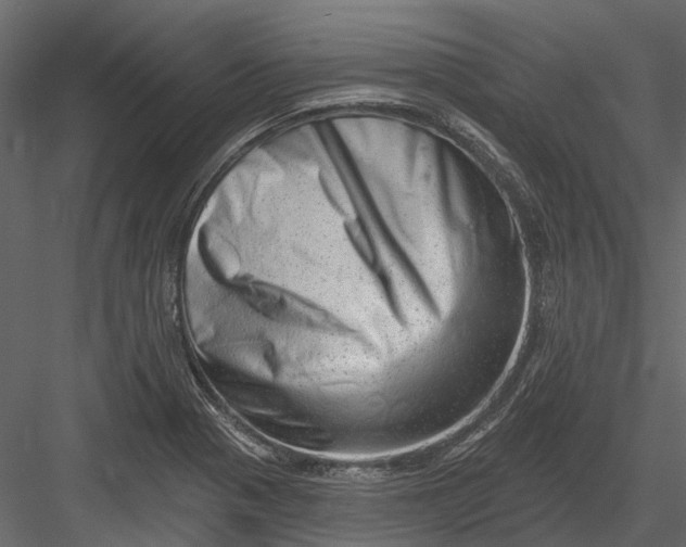 X0000082981321200702230023