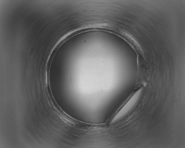 X0000082981324200702230023