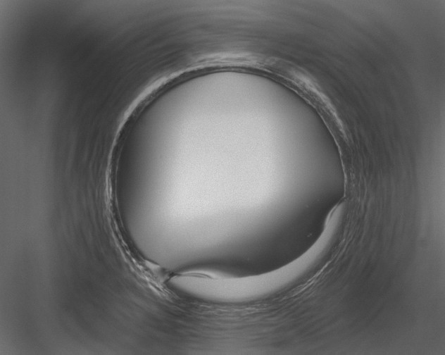 X0000082981328200702230023