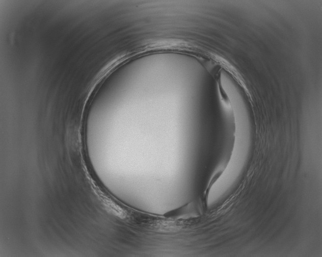 X0000082981330200702230023