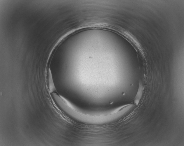 X0000082981332200702230023