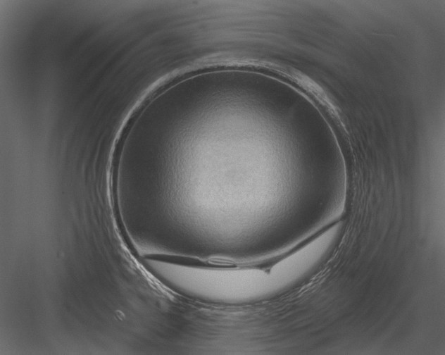 X0000082981334200702230023