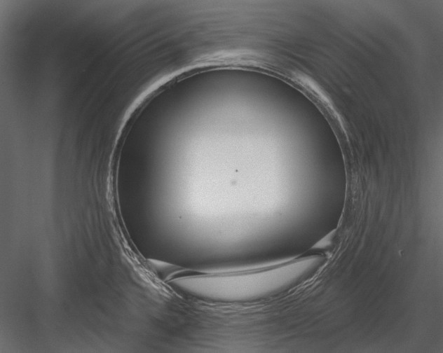 X0000082981336200702230023