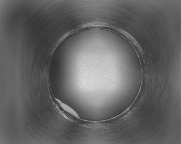 X0000082981337200702230023