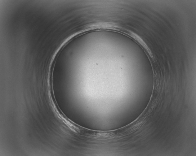 X0000082981339200702230023