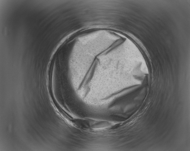 X0000082981341200702230023