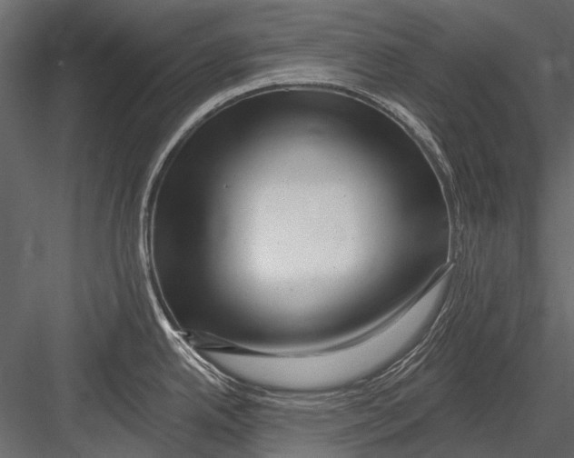 X0000082981342200702230023