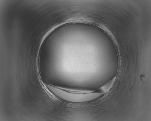 X0000082981344200702230023