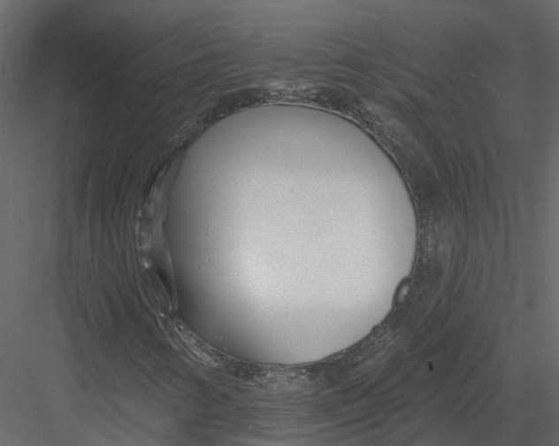X0000082981346200702230022