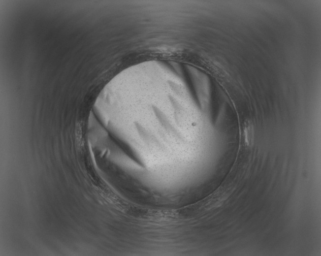 X0000082981347200702230022