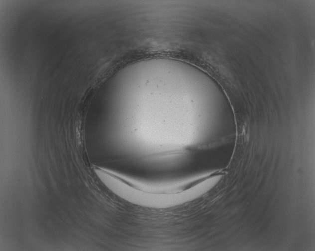 X0000082981348200702230022