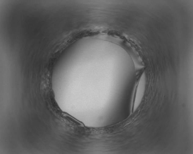 X0000082981349200702230022