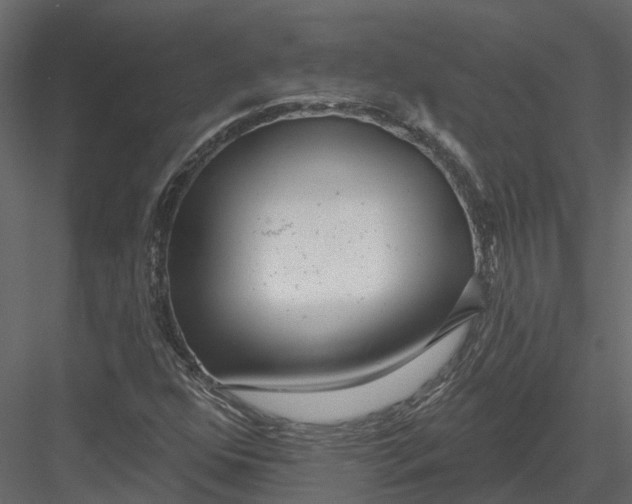 X0000082981352200702230022