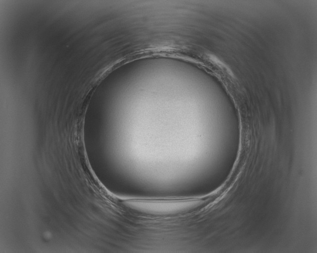 X0000082981353200702230022