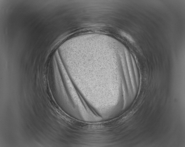 X0000082981354200702230022