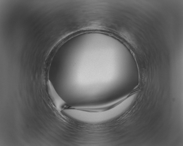 X0000082981356200702230022