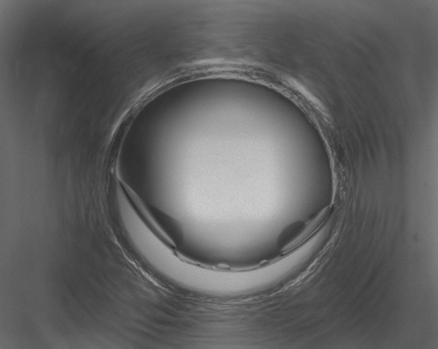 X0000082981357200702230022