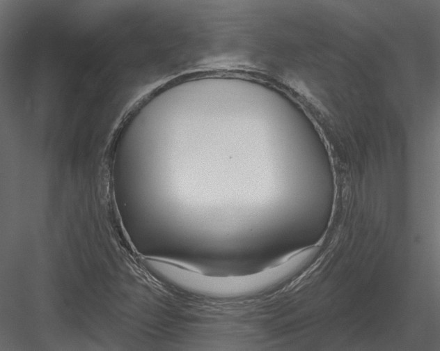 X0000082981358200702230022