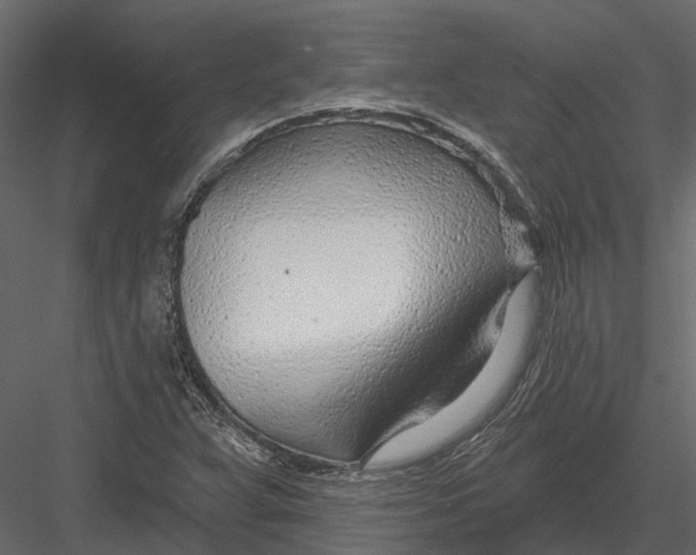 X0000082981359200702230022