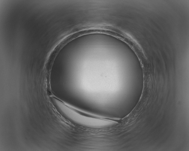 X0000082981360200702230022
