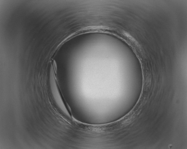 X0000082981361200702230022