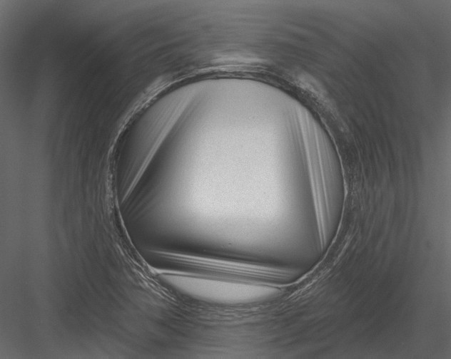 X0000082981362200702230022