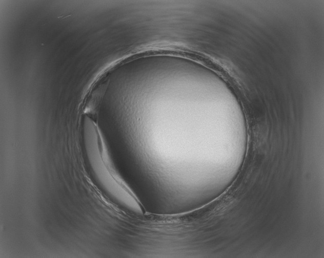 X0000082981363200702230022