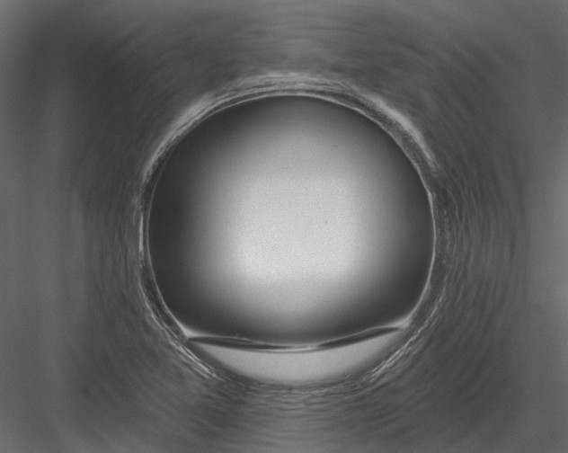 X0000082981365200702230022