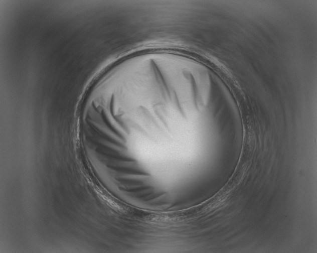 X0000082981366200702230022