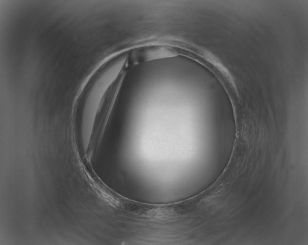 X0000082981368200702230022