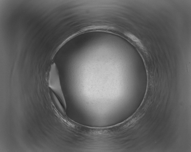 X0000082981369200702230022