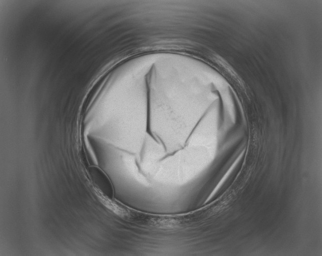 X0000082981370200702230022