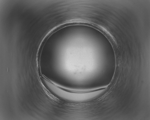 X0000082981372200702230022