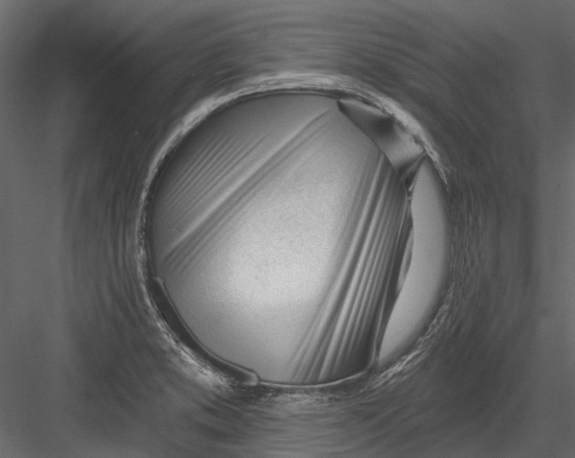 X0000082981373200702230022