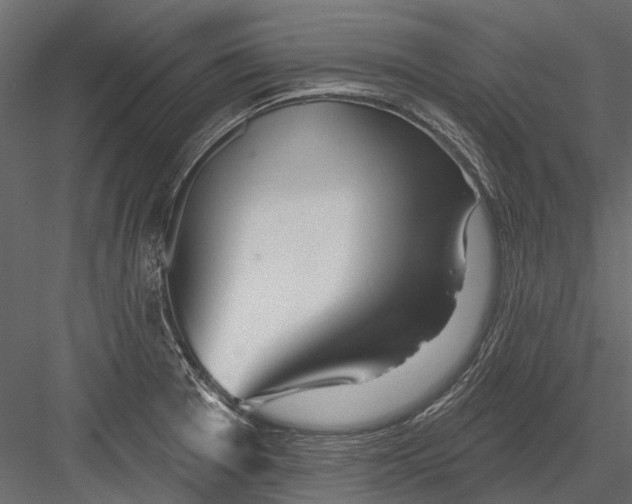 X0000082981377200702230022