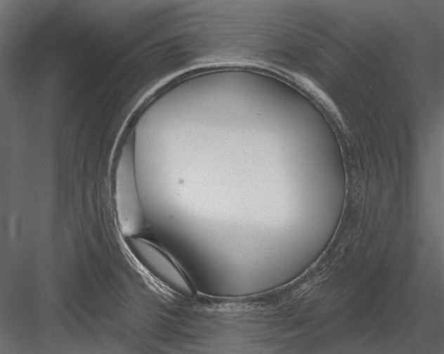 X0000082981380200702230022