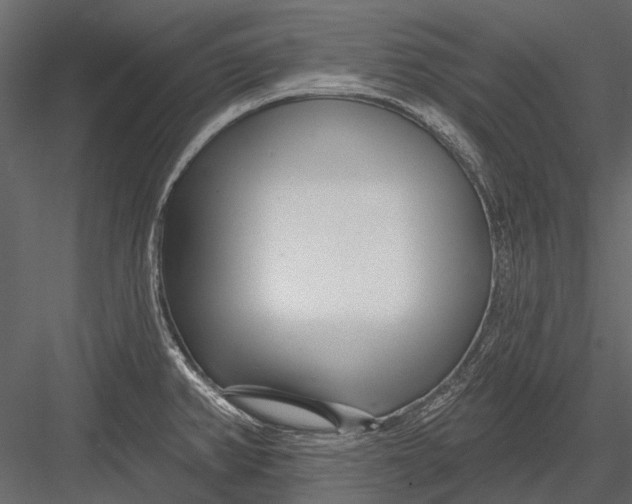 X0000082981382200702230022