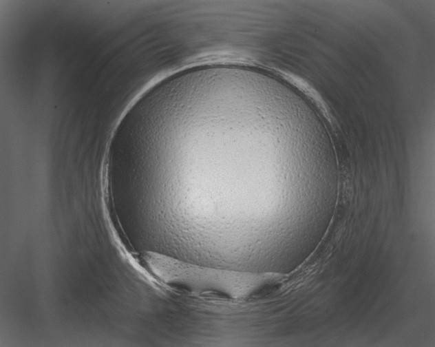 X0000082981383200702230022